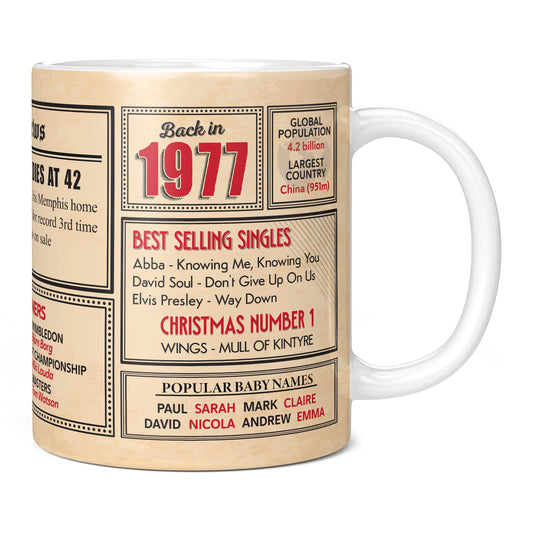 48th Birthday Gift - Back in 1977 In This Year Mug